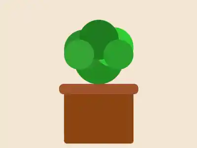 Ceramic Plant Pot Set